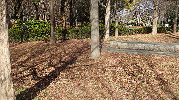 p1183944_thumb.jpg