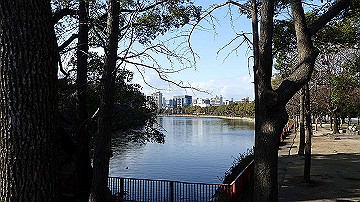 p1183955_thumb.jpg