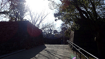 p1183956_thumb.jpg