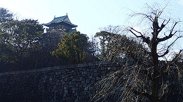 p1183959_thumb.jpg