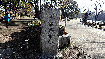 p1183963_thumb.jpg