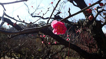p1183966_thumb.jpg