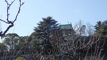 p1183970_thumb.jpg