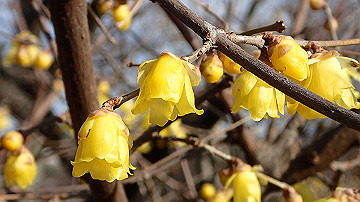 p1183972_thumb.jpg