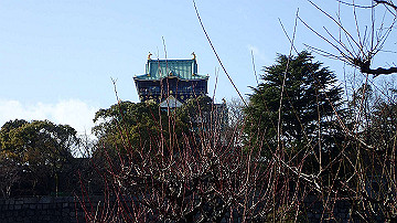 p1183974_thumb.jpg