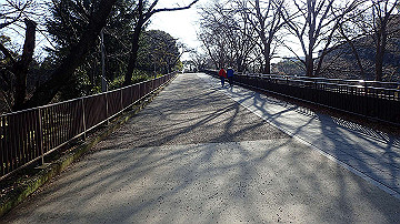 p1183979_thumb.jpg