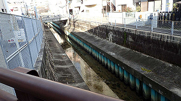 p1183997_thumb.jpg