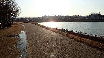 p1184026_thumb.jpg