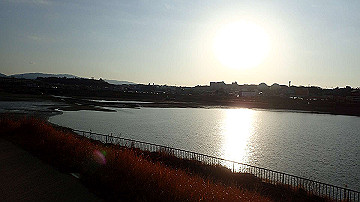 p1184028_thumb.jpg