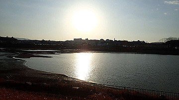 p1184029_thumb.jpg