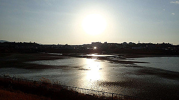 p1184030_thumb.jpg