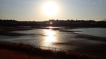 p1184031_thumb.jpg