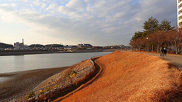 p1184032_thumb.jpg