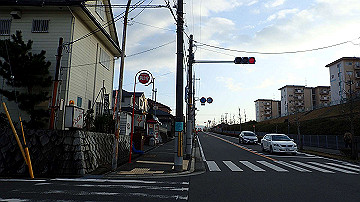 p1184033_thumb.jpg
