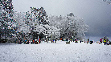 dsc01500_thumb.jpg