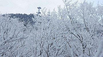 dsc01512_thumb.jpg