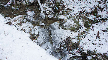dsc01515_thumb.jpg