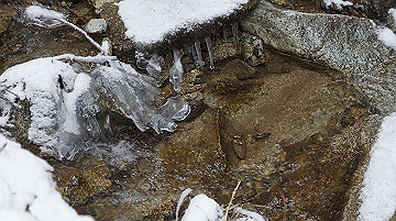 dsc01522_thumb.jpg