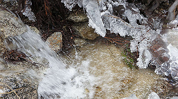 dsc01524_thumb.jpg