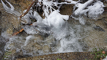 dsc01530_thumb.jpg