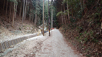 p1273832_thumb.jpg