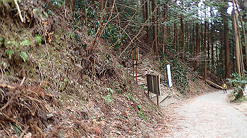 p1273833_thumb.jpg
