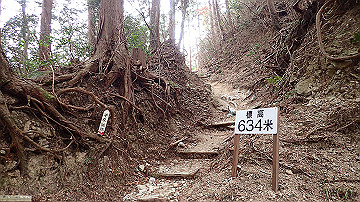 p1273840_thumb.jpg