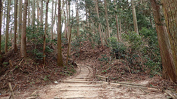 p1273842_thumb.jpg