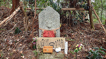 p1273843_thumb.jpg