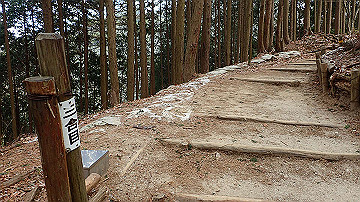 p1273846_thumb.jpg