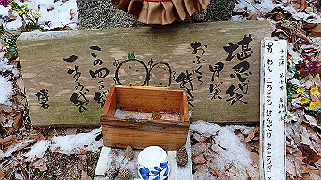 p1273849_thumb.jpg