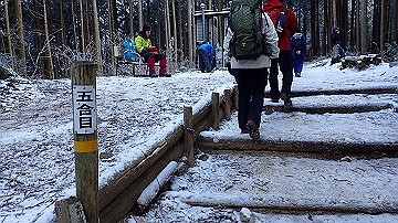 p1273855_thumb.jpg