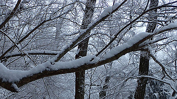 p1273864_thumb.jpg