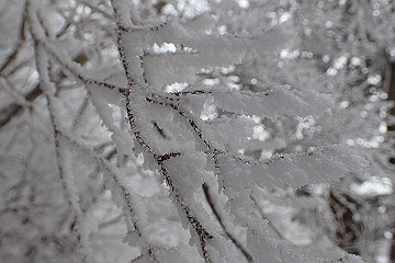 p1273873_thumb.jpg