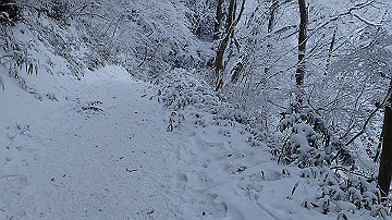 p1273874_thumb.jpg
