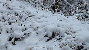 p1273878_thumb.jpg