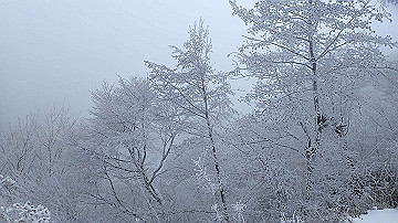 p1273892_thumb.jpg