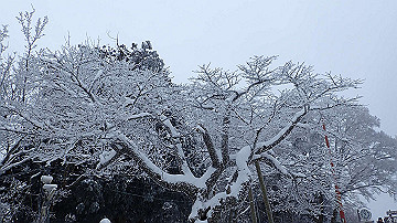 p1273896_thumb.jpg