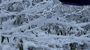 p1273917_thumb.jpg
