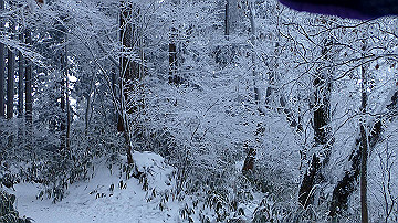 p1273918_thumb.jpg