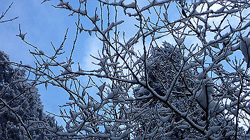p1273950_thumb.jpg
