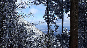 p1273955_thumb.jpg