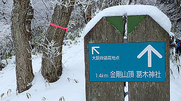 p1273962_thumb.jpg