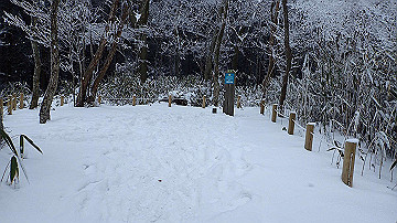 p1273964_thumb.jpg