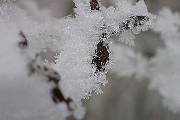 p1273971_thumb.jpg