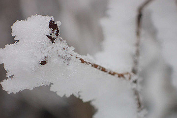 p1273972_thumb.jpg