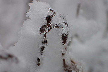 p1273973_thumb.jpg