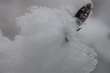 p1273974_thumb.jpg