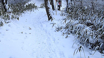 p1273976.mov_thumb.jpg