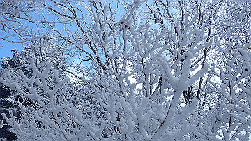 p1273980_thumb.jpg